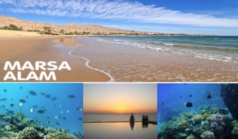 Vacanta in Egipt, Marsa Alam - 1 Decembrie 2026